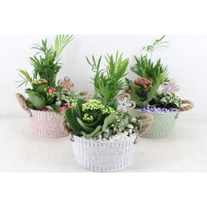 Arr2 Pl - Zink Pot Oor 285/6 Mix