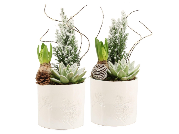 <h4>61693: X-mas arrangement</h4>