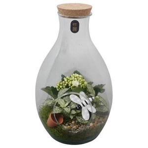 PTIG2652 Arrangement Indoor in glas fles