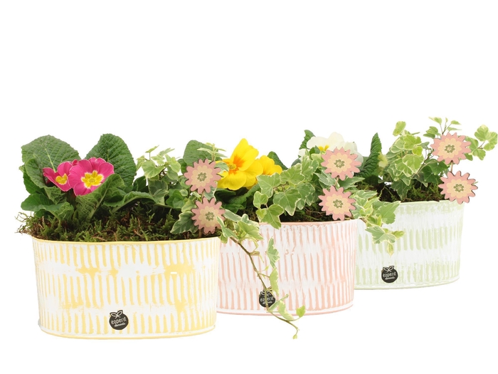 <h4>11659: Outdoor spring arrangement</h4>