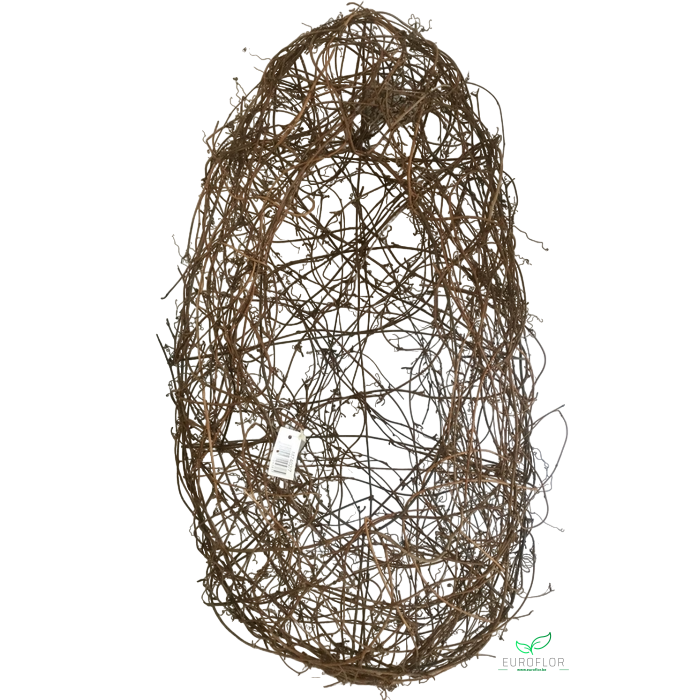 <h4>CLEMATIS EI OPEN 70CM</h4>