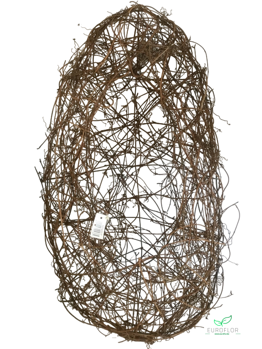 CLEMATIS EI OPEN 70CM