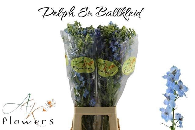 <h4>Delph En Ballkleid</h4>