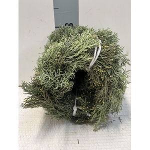 KRANS HALF GEBOND H%