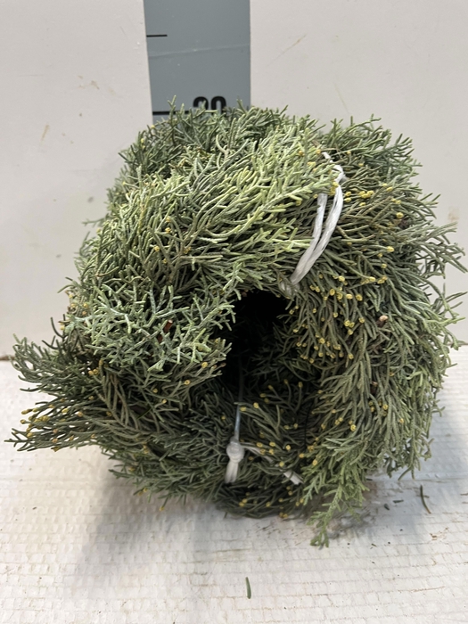 <h4>KRANS HALF GEBOND H%</h4>