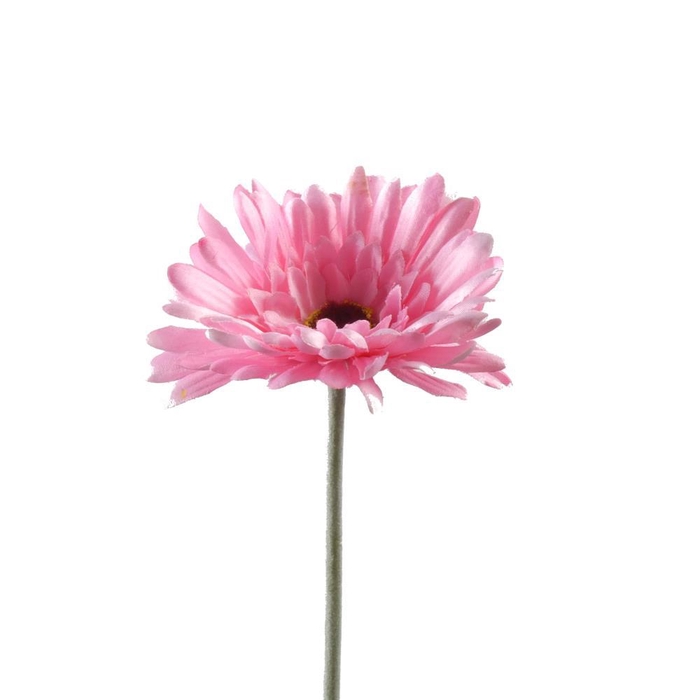 <h4>AF Gerbera L58cm Pink</h4>