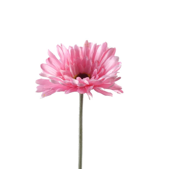 <h4>AF Gerbera L58cm Pink</h4>