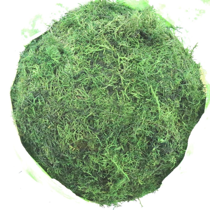 <h4>Ball (hanging) Egelmoss Old Green</h4>