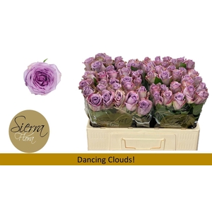 R Gr Dancing Clouds!