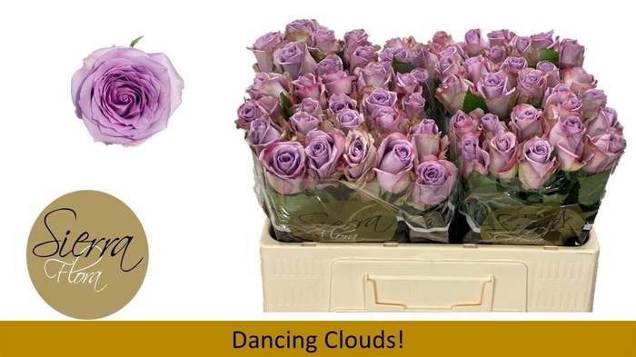 <h4>R Gr Dancing Clouds!</h4>