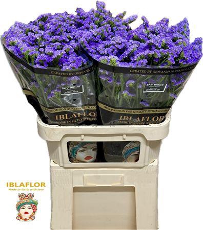 <h4>LIM S SKY BIRDS 80/70GR</h4>