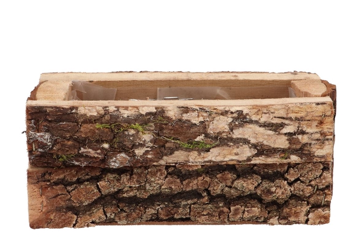 <h4>Nature Oak Rectangle 31x14x11cm</h4>