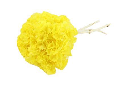 Bunch Hydrangea Pres.