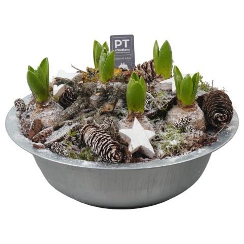 <h4>Opm Pt PTWH7791 Winter Zink Schaal</h4>