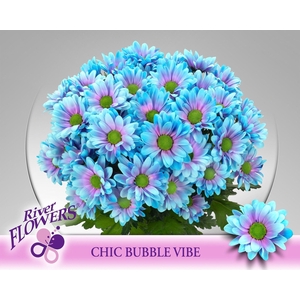 Chr tr Chic paint