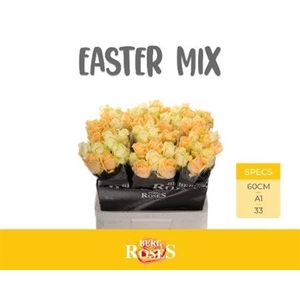 R Gr Avalanche Easter Mix