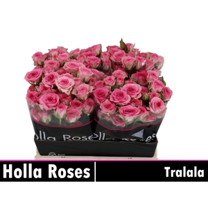 R Tr Tralala