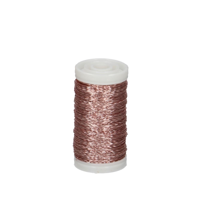 <h4>Wire Bouillon 0.3mm 100g</h4>