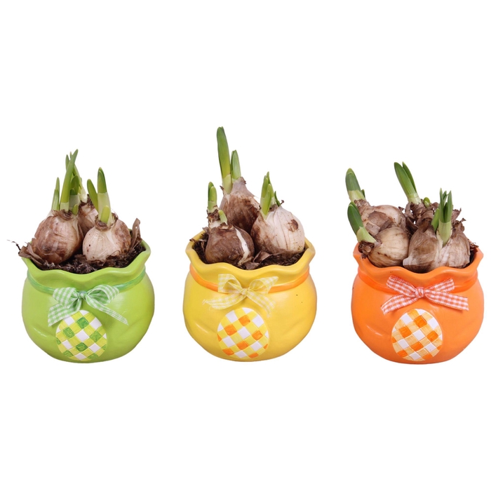 <h4>Easter Arr. Narcis Ceramic Colorful Egg Bag Mix Ø10cm</h4>
