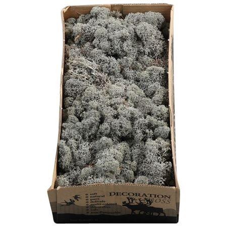 <h4>Ijslandmos (reindeer) Antracietgrijs</h4>