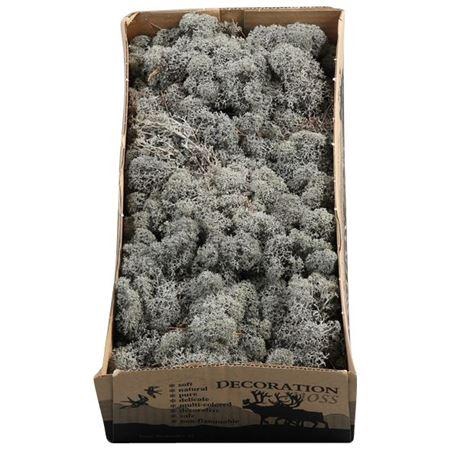 <h4>Ijslandmos (reindeer) Antracietgrijs</h4>