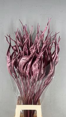 <h4>Df Strelitzia Leaf Antiq. Pink</h4>