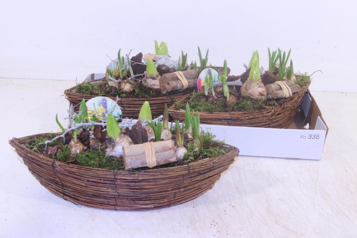 <h4>ARR BOL KNOLGEWAS</h4>