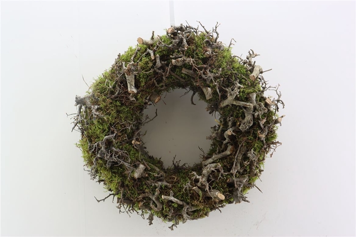 <h4>Wr Moss Bonsai 45cm</h4>