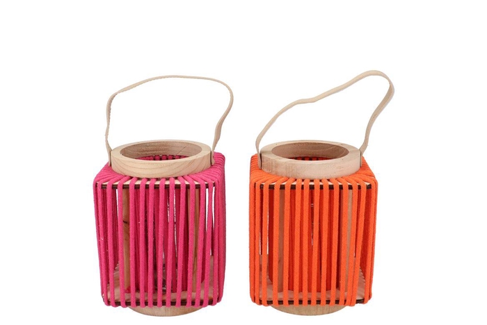 Cruz Orange Fuchsia Lantern Square Ass 11x14x17cm