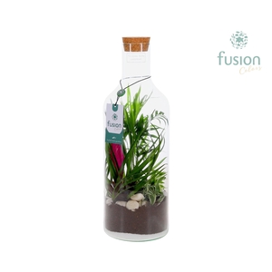 Green Bottle Fles Medium met arrangement