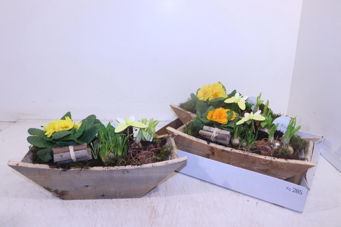 <h4>ARR TUINPLANTEN</h4>