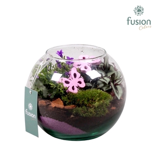 Voorjaar glazen vissenkom met campanula 24uur levertijd