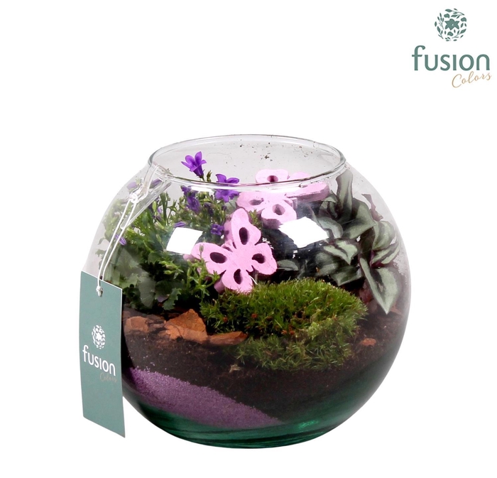 <h4>Voorjaar glazen vissenkom met campanula 24uur levertijd</h4>