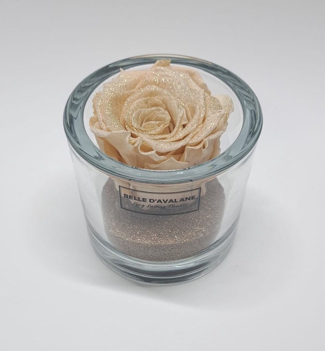 Cilinder d9x8h glitter champagne