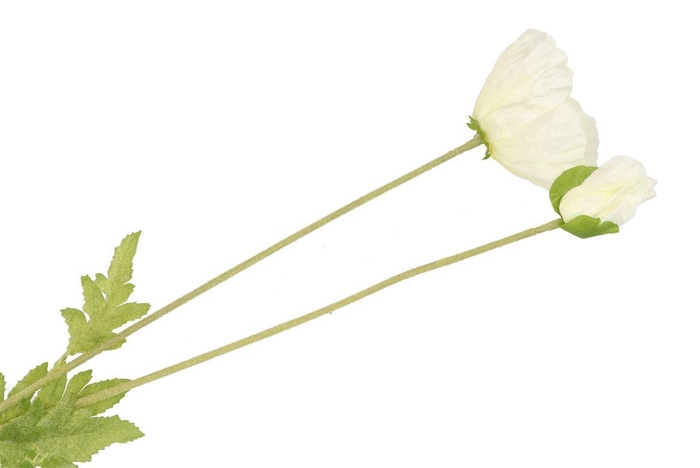 <h4>Silk Poppy Leaf White 96cm Nm</h4>