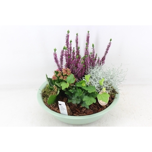arr4 Outdoor PL - Zink schaal groen L