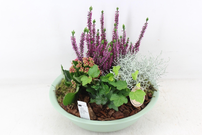 <h4>arr4 Outdoor PL - Zink schaal groen L</h4>