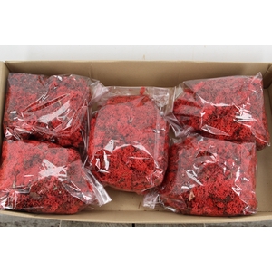 Moss Icelandic 500gr Red