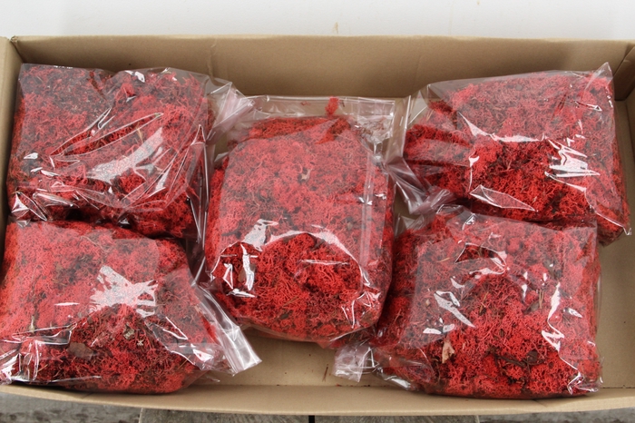 <h4>Moss Icelandic 500gr Red</h4>