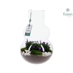 Green Bottle Olaf Large met Campanula 24uur levertijd
