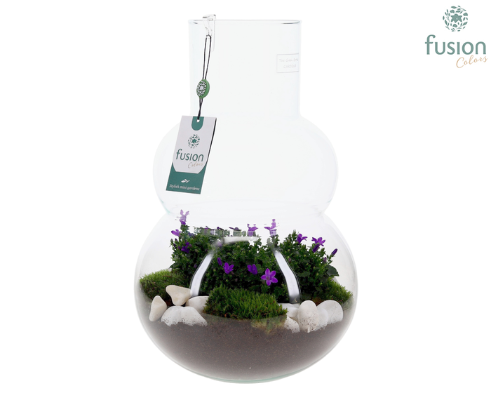 <h4>Green Bottle Olaf Large met Campanula 24uur levertijd</h4>
