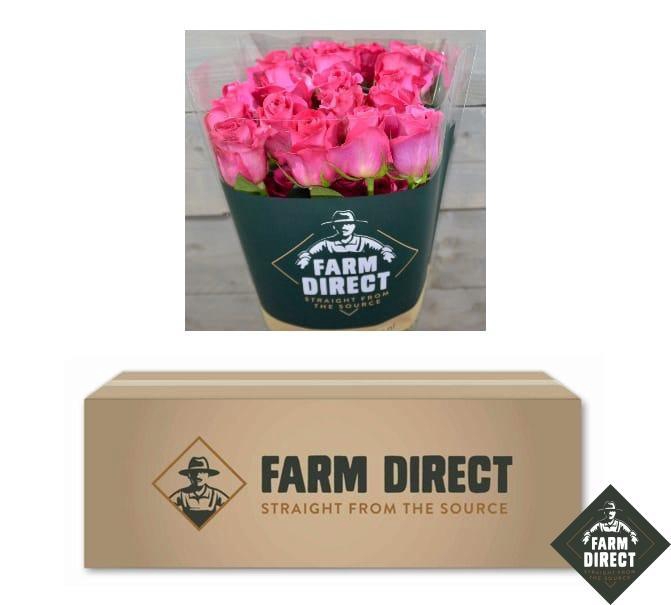 <h4>R GR PINK FLOYD BOX x50</h4>