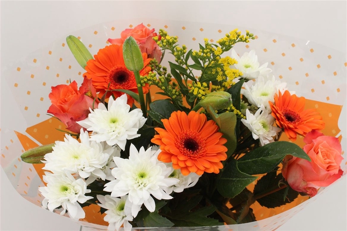 <h4>Boeket 3 Roos 3 Germini Oranje</h4>