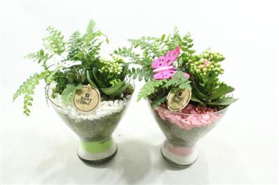 <h4>7228 GLAS PADDENSTOEL</h4>