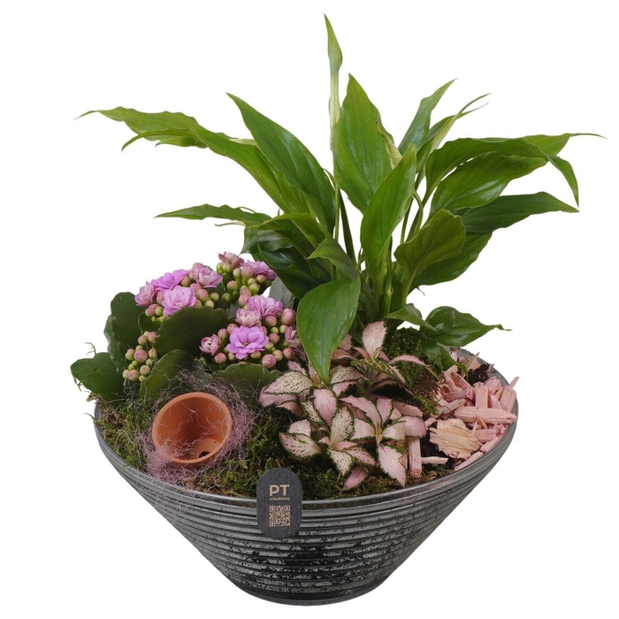 <h4>Arr. Planten L%</h4>