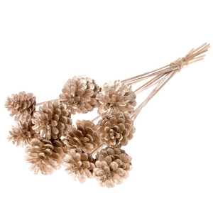 Pine C 5-7 O/s Warm Gold