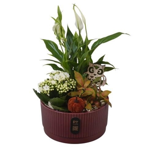 PTHI3222 Arrangement Autumn Indoor in keramiek schaal