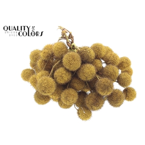 Small ball per bunch in poly Yellow