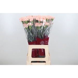 Di St Novia Peach