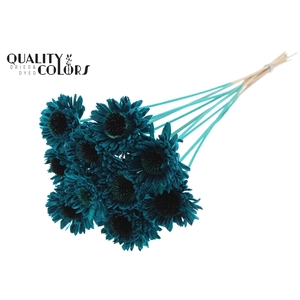 Shola Daisy Sunflower 6cm on stem Turquoise